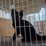 くぅちゃん (5).JPG